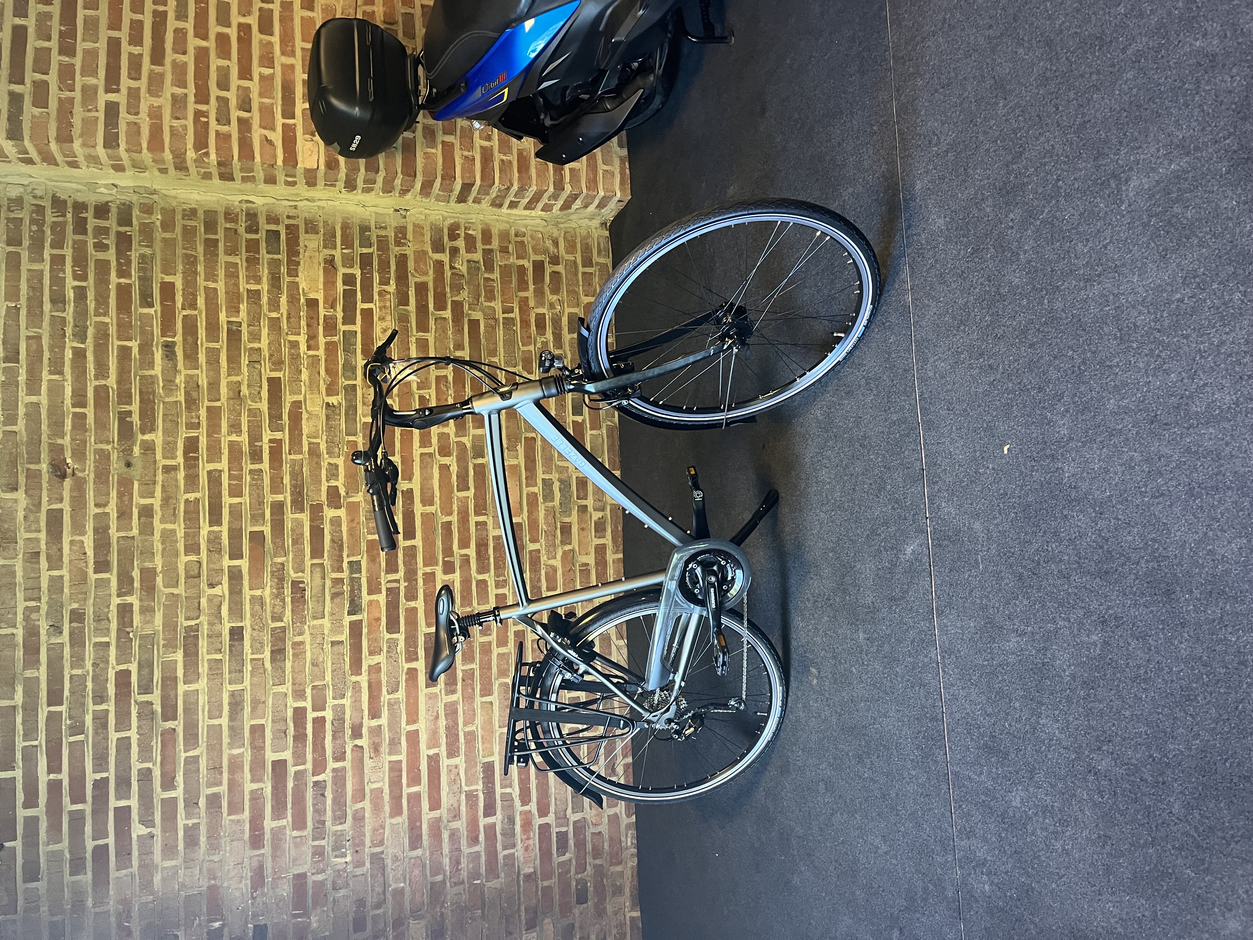 Gazelle Chamonix T30